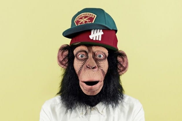Lookbook The Chimp Store The Chimp Who Would be Human (Lato 2012)-1