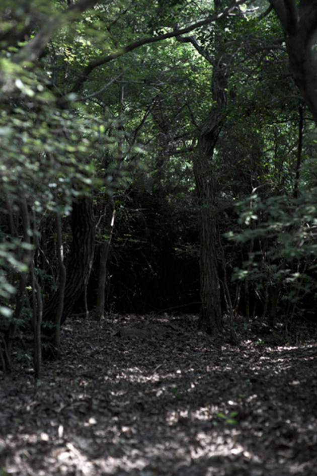 masterpiece-2013-fall-winter-lookbook-13