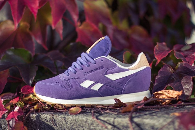Reebok Classic Leather WMNS-Suede Pack-2