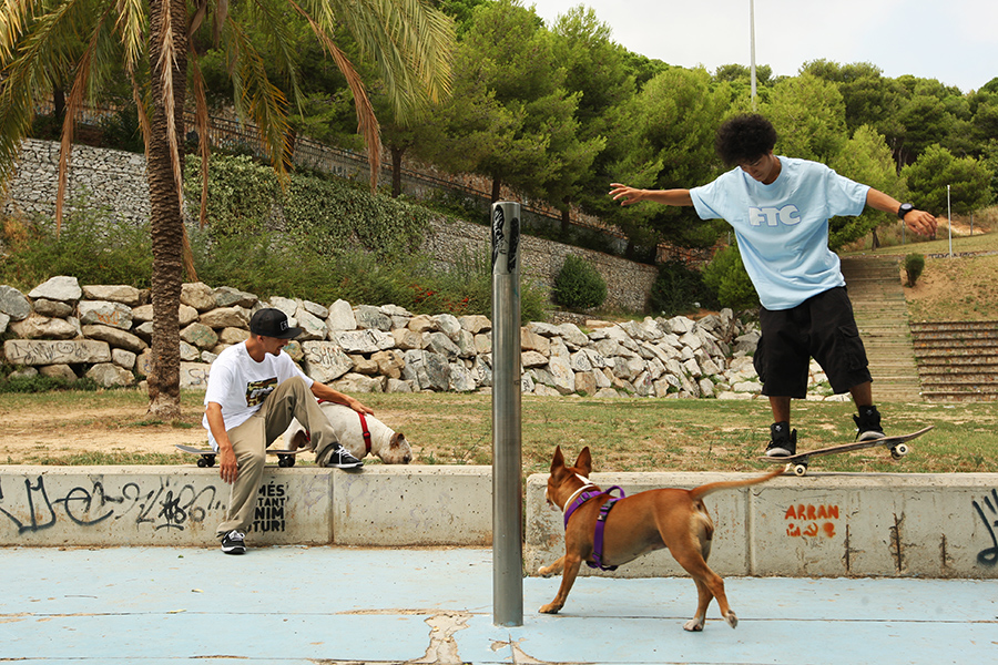 Lookbook FTC (Wiosna-Lato 2015)-11