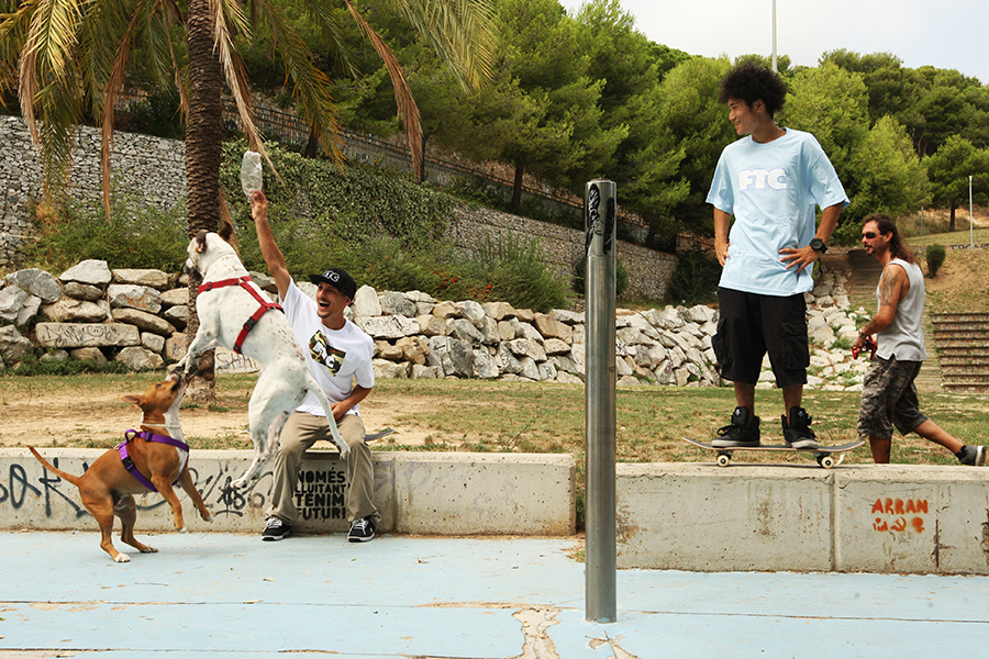 Lookbook FTC (Wiosna-Lato 2015)-12