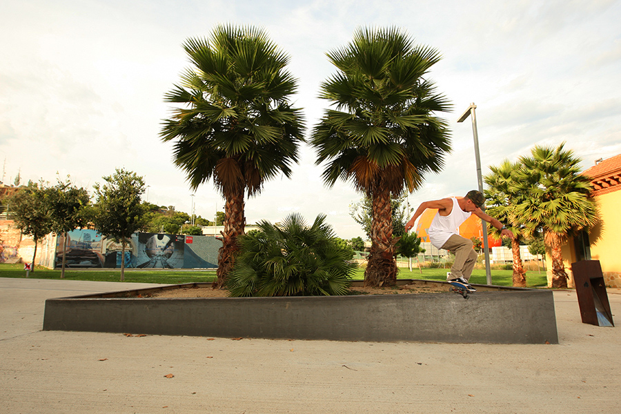 Lookbook FTC (Wiosna-Lato 2015)-14