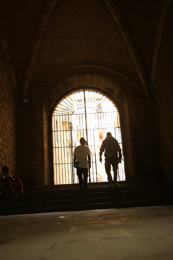 Lookbook FTC (Wiosna-Lato 2015)-28