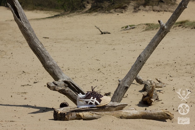 10926236_848105011911019_1743200005255883123_o