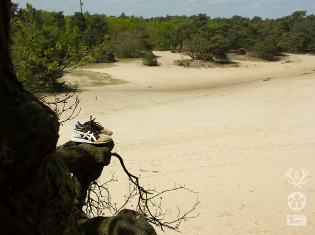 11067678_848105588577628_116056788037250272_n