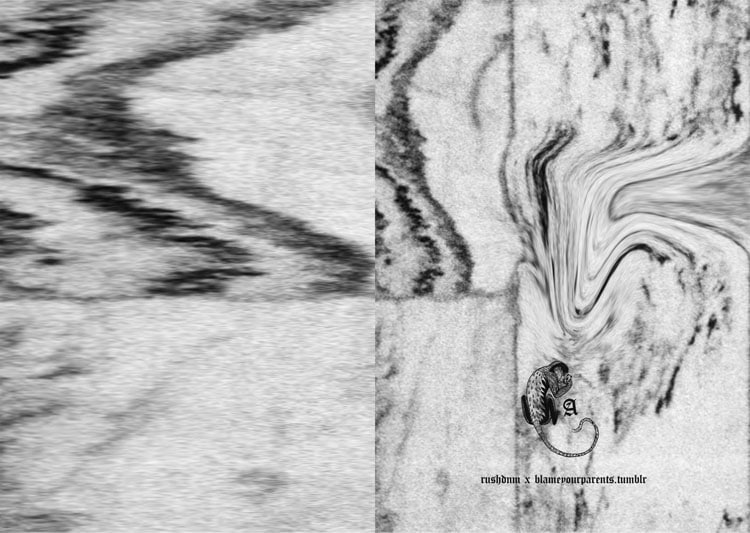 11251779_874728239240980_2632006794607533085_o