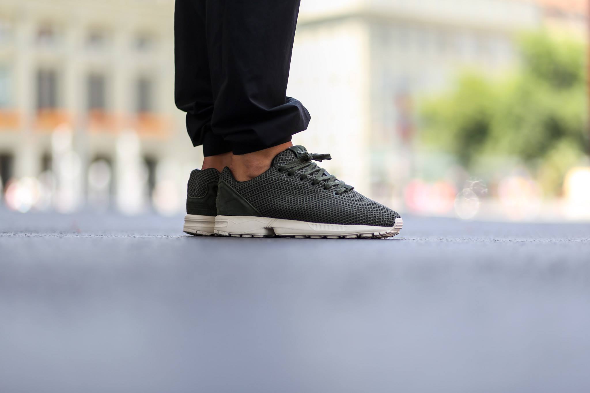 11717352_1136687483013415_4922316043169614343_o