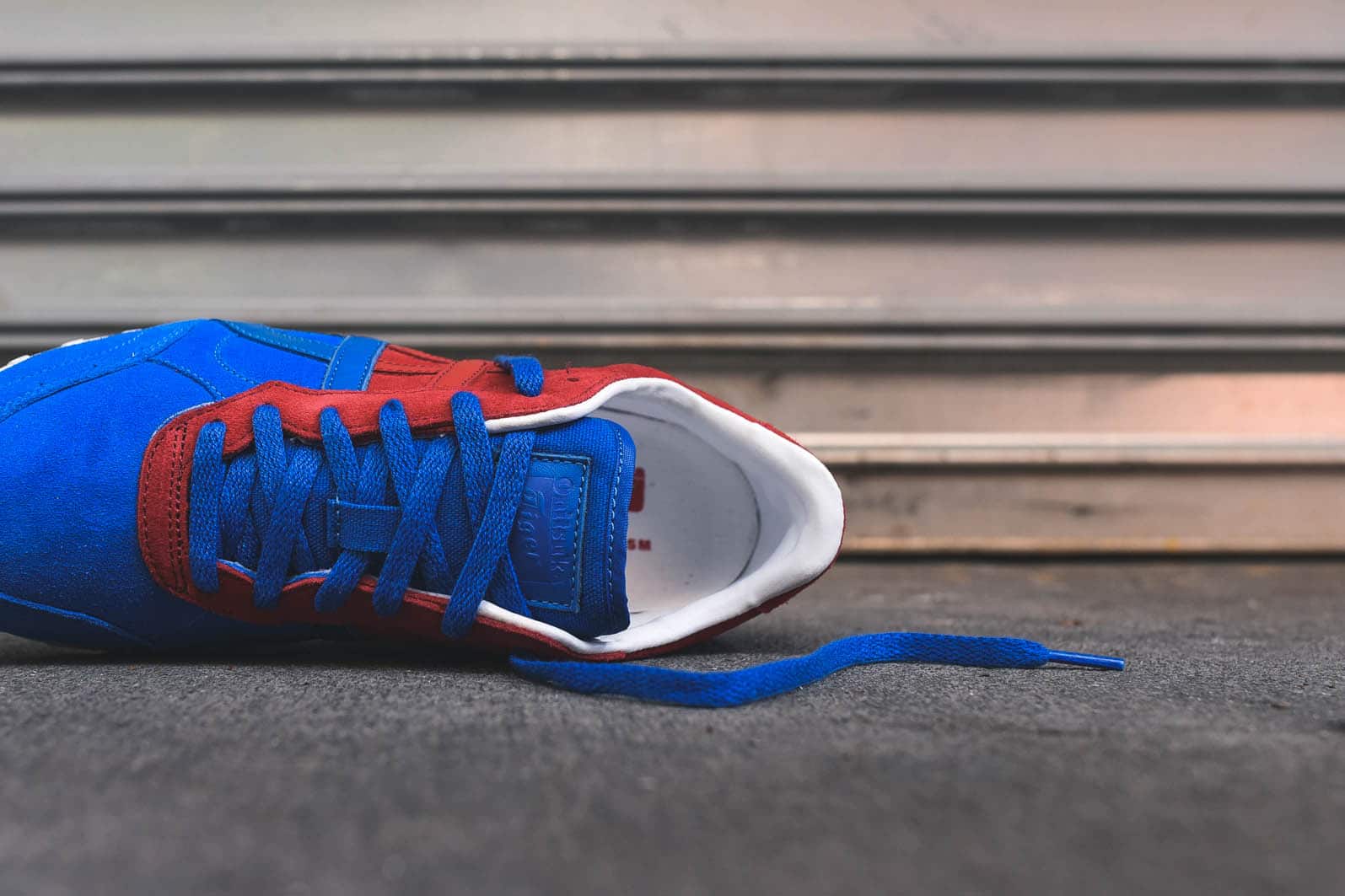 DSC_9323_61af67bb-aba8-473f-aea3-21ef13e3030c