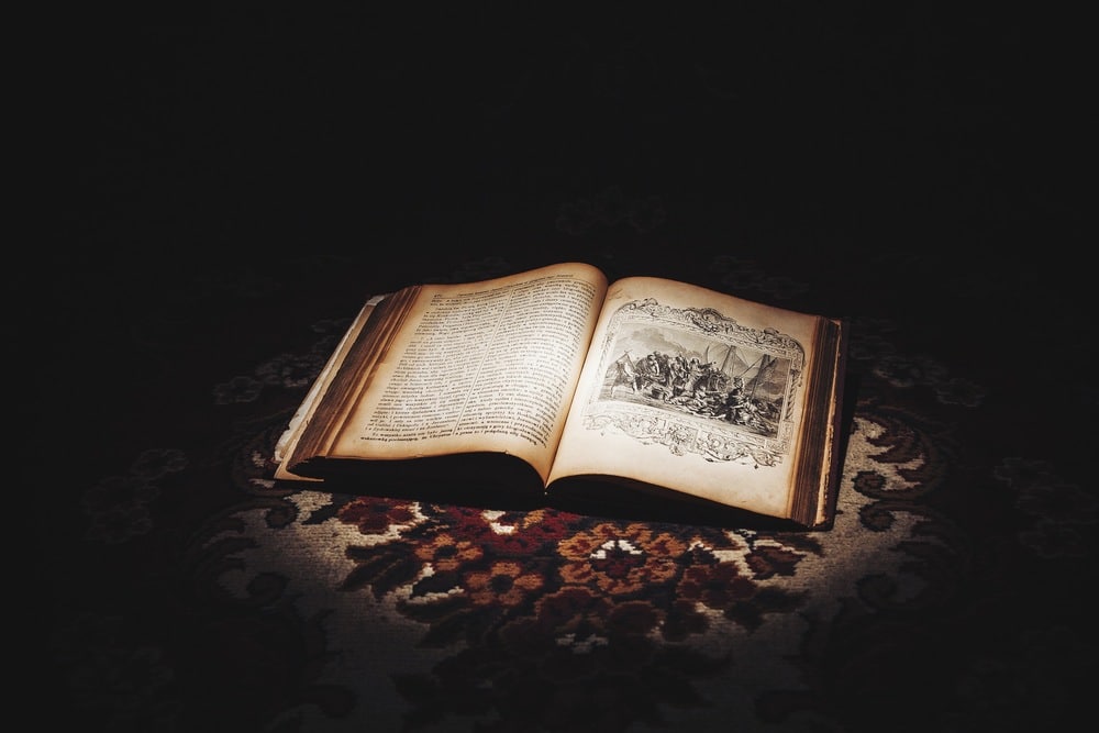 Processed with VSCOcam with lv01 preset