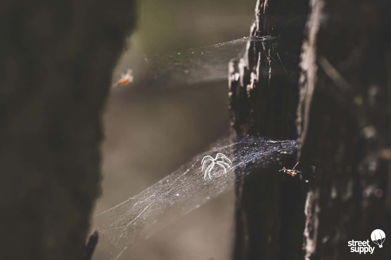 Lookbook Asics x Street Supply (Jesien-Zima 2015)12
