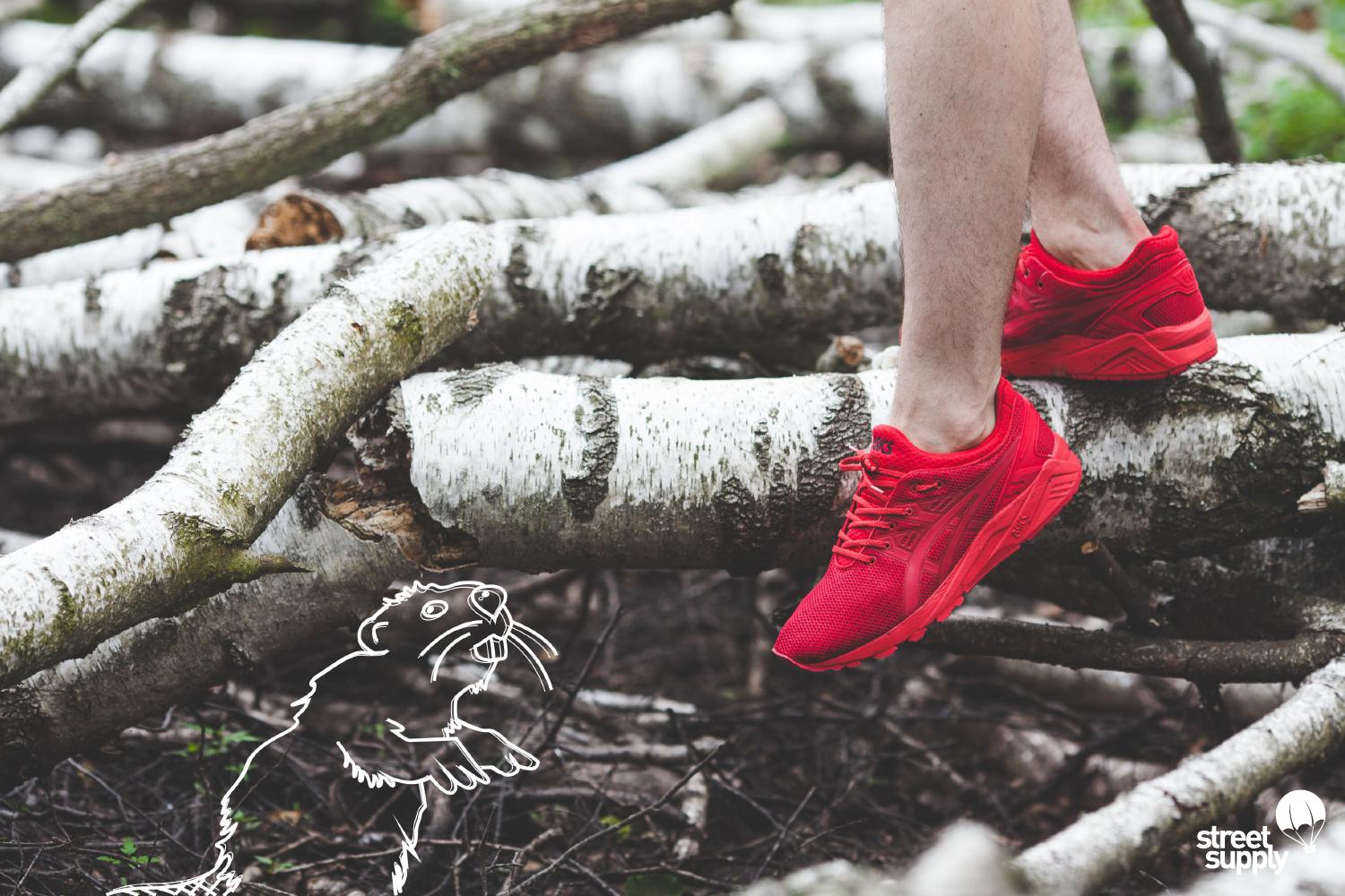 Lookbook Asics x Street Supply (Jesien-Zima 2015)13