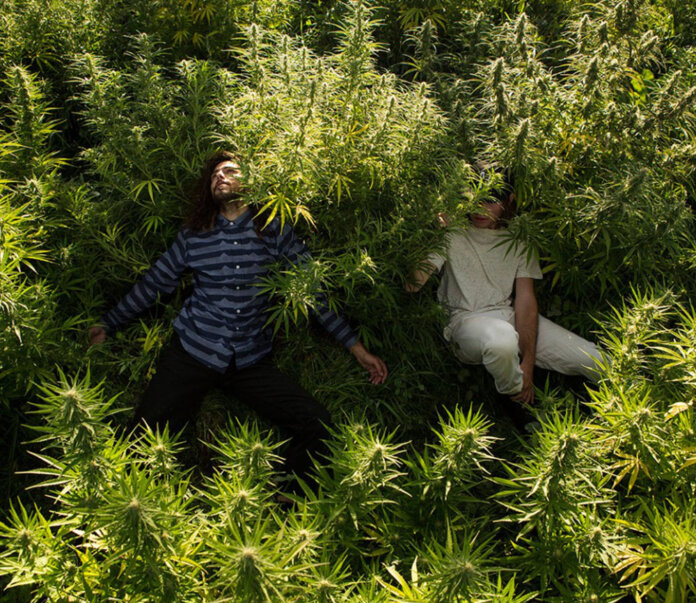 Lookbook Akomplice (Jesien-Zima 2015)-7