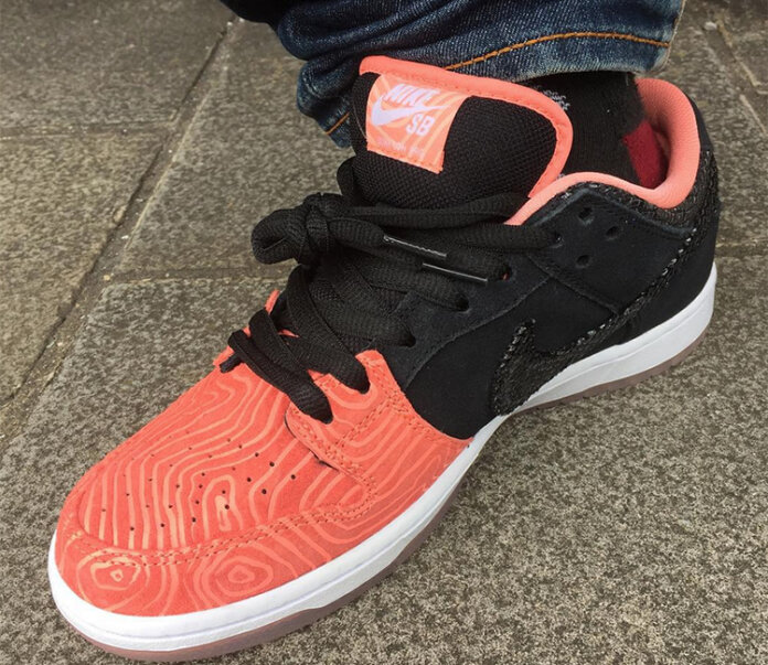 PREMIER x NIKE SB DUNK LOW SALMON-ZAJAWKA