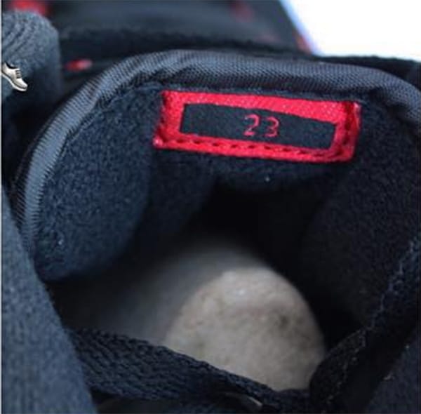 AIR JORDAN II ALTERNATE (WIOSNA 2016) DATA PREMIERY-5