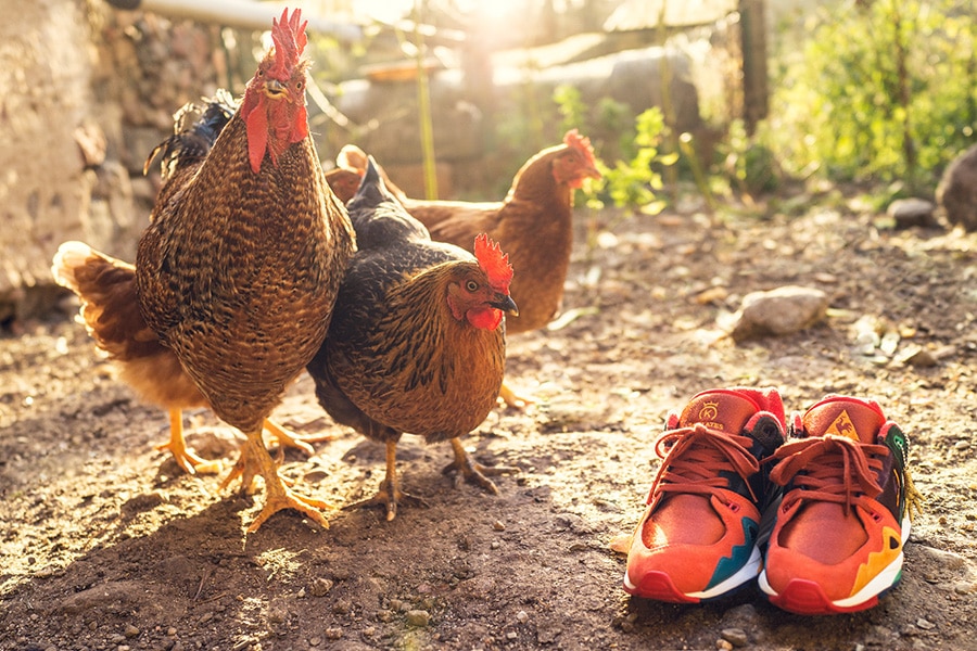 24-Kilates-Le-Coq-Sportif-LCS-R1000-Gallo-7