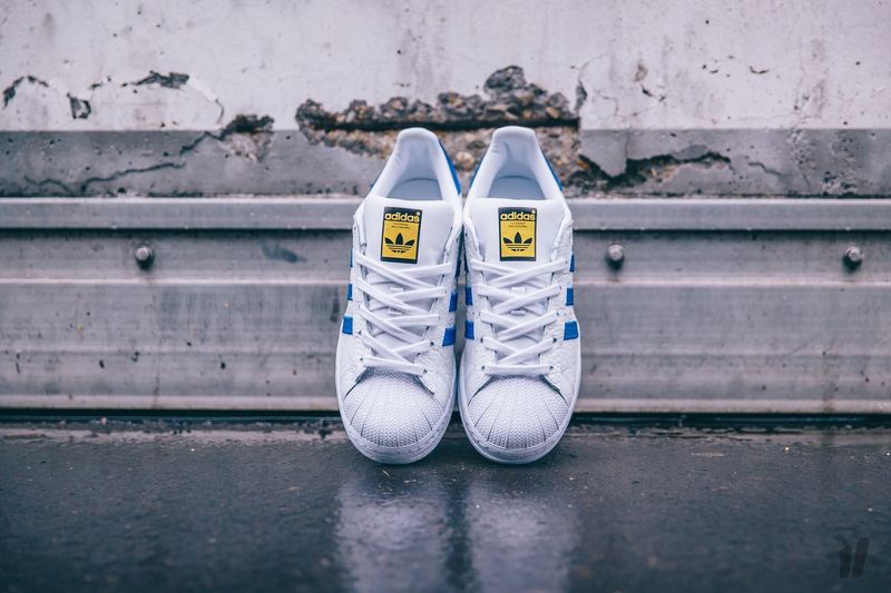 adidas Superstar Animal-Collegiate Royal-1