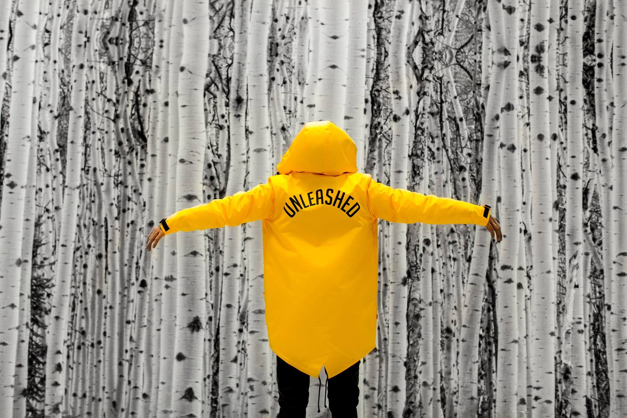 12671679_1340181169341101_445543419516531702_o