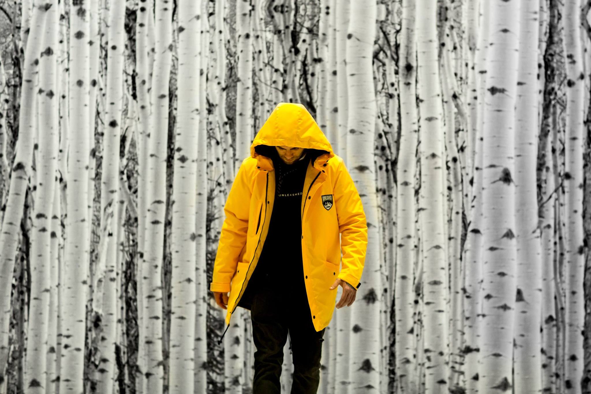 12719457_1340181166007768_5009184553038863687_o