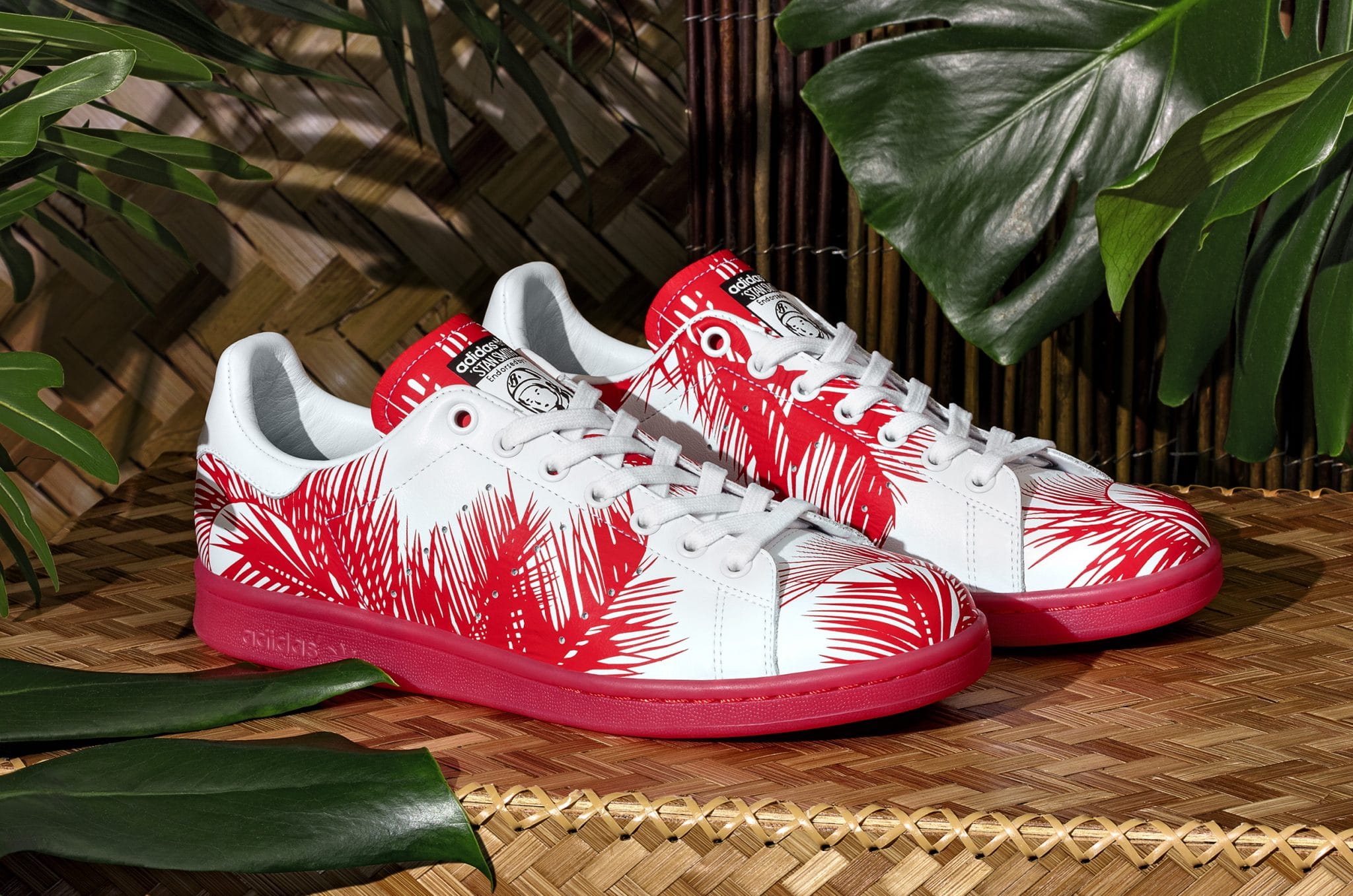 BBC Palm Tree Pack (5)