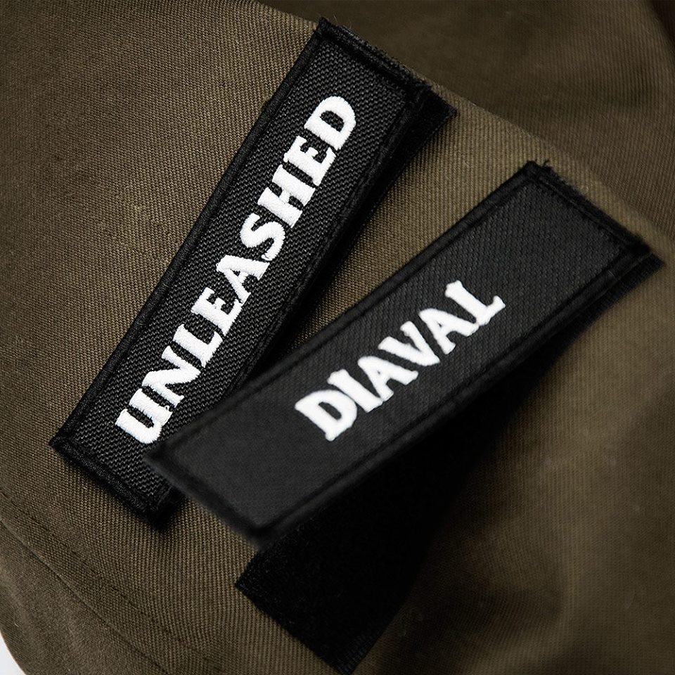 13524440_1085268694879464_6661575418392274841_n