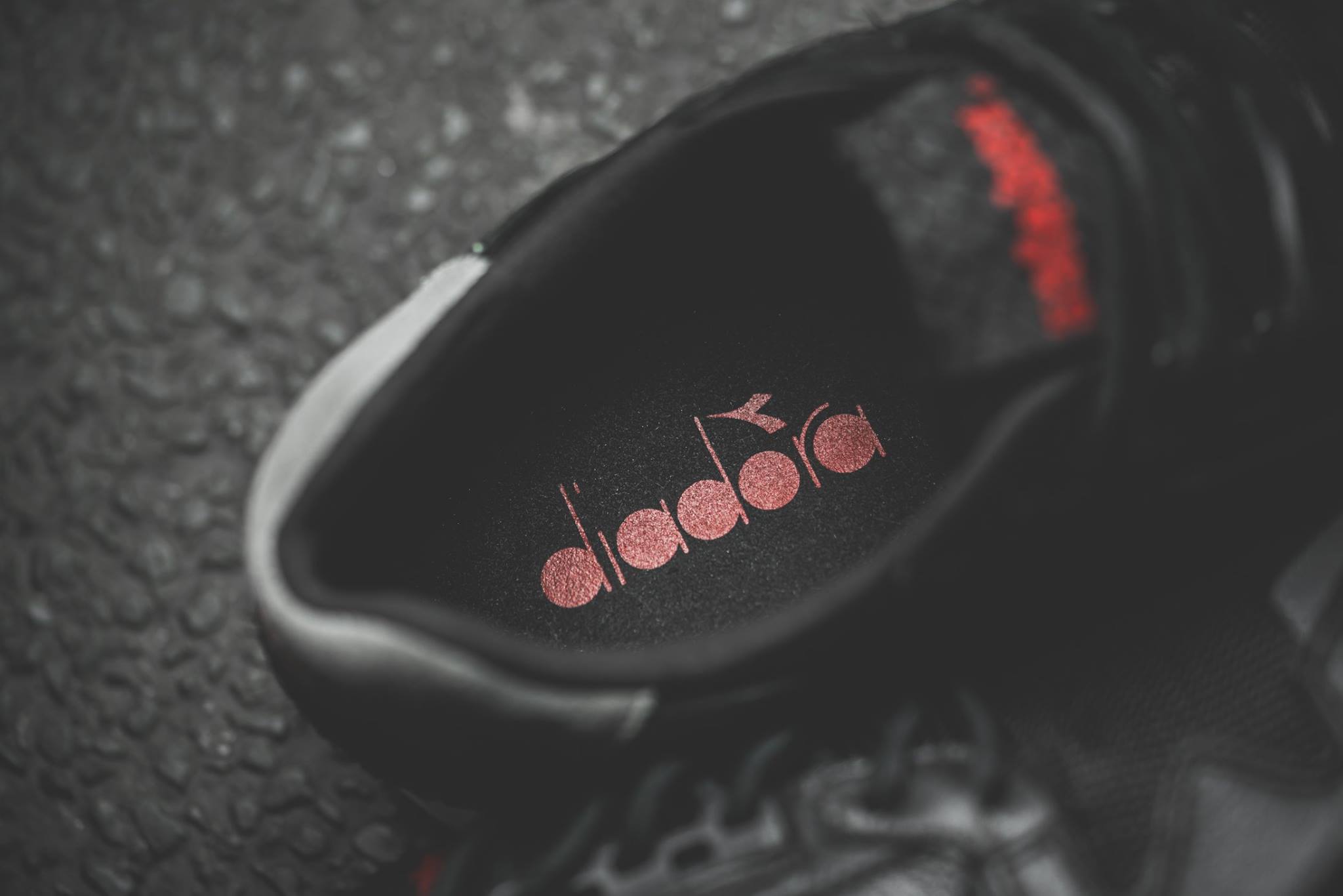 13653339_10153776151112686_2833177555182804753_o