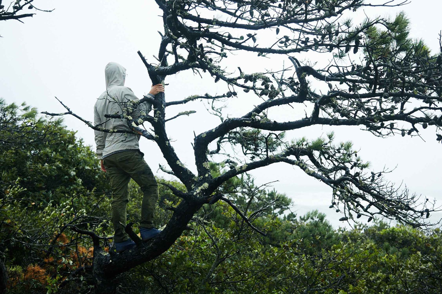 dqm-vans-quilted-sk8-hi-mte-dx-06