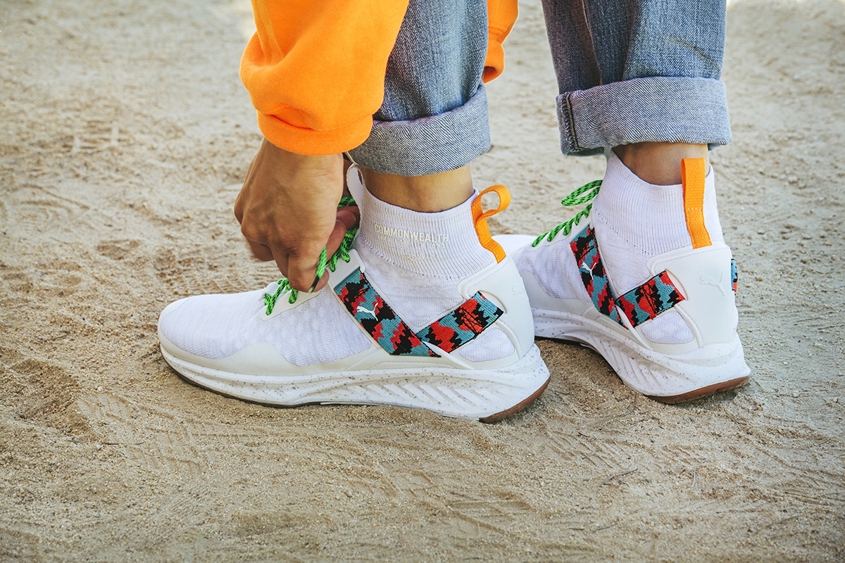 Commonwealth x Puma IGNITE evoKNIT3