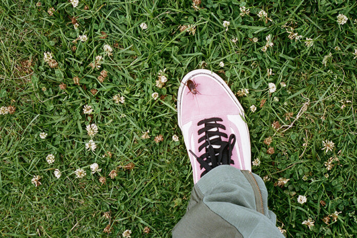 Stussy x Vans juz za chwile premiera nowej kolaboracji-1 Stussy x Vans juz za chwile premiera nowej kolaboracji-1