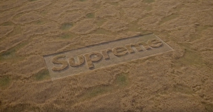 Supreme prezentuje najnowsze video Crop Fields