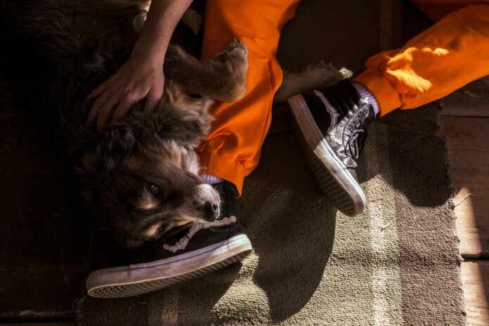 Blends wspolnie z Vans wypuszczaja ulepszona wersje klasyka Blends wspolnie z Vans wypuszczaja ulepszona wersje klasyka