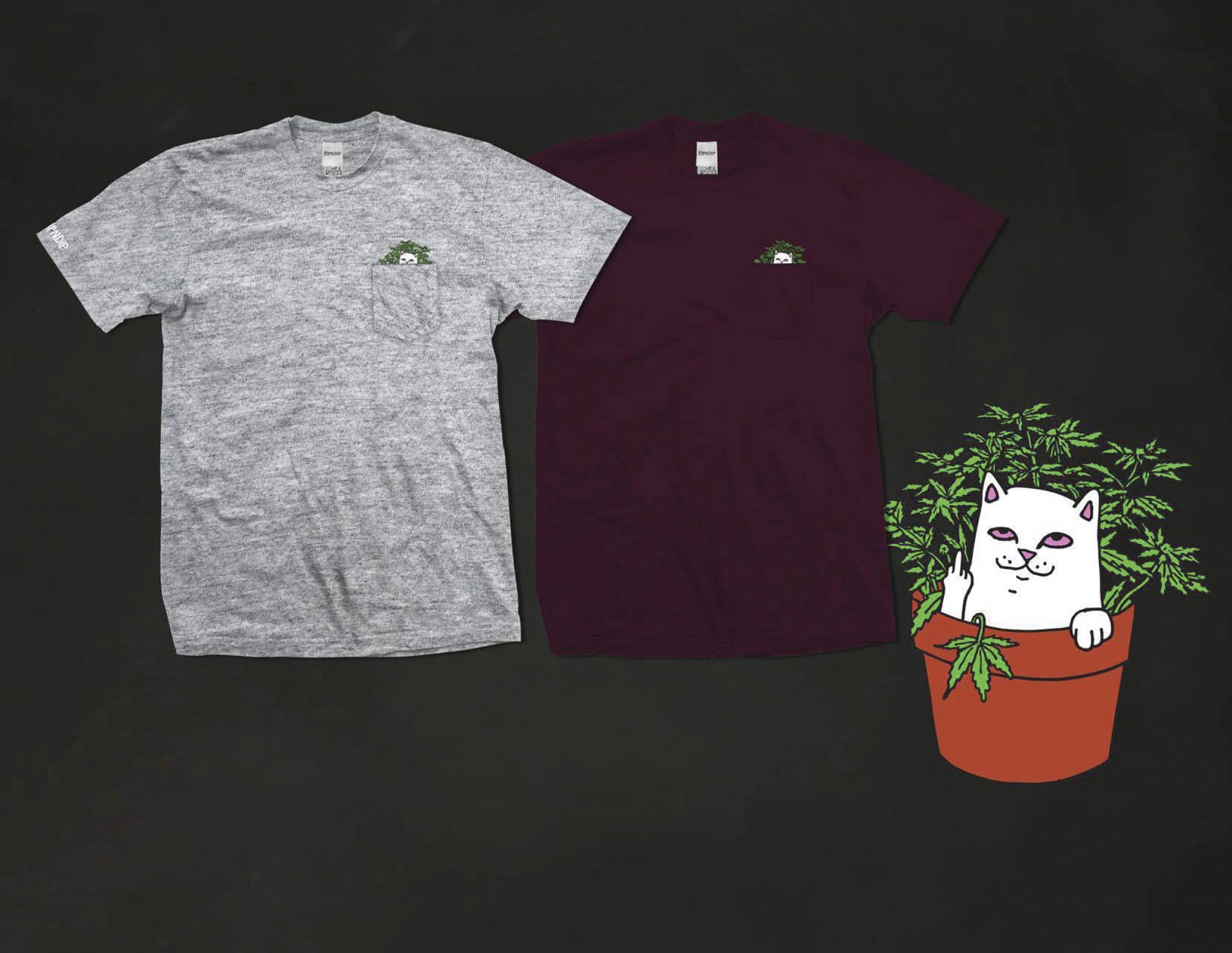 RIPNDIP wjezdza do sklepu selectshop14