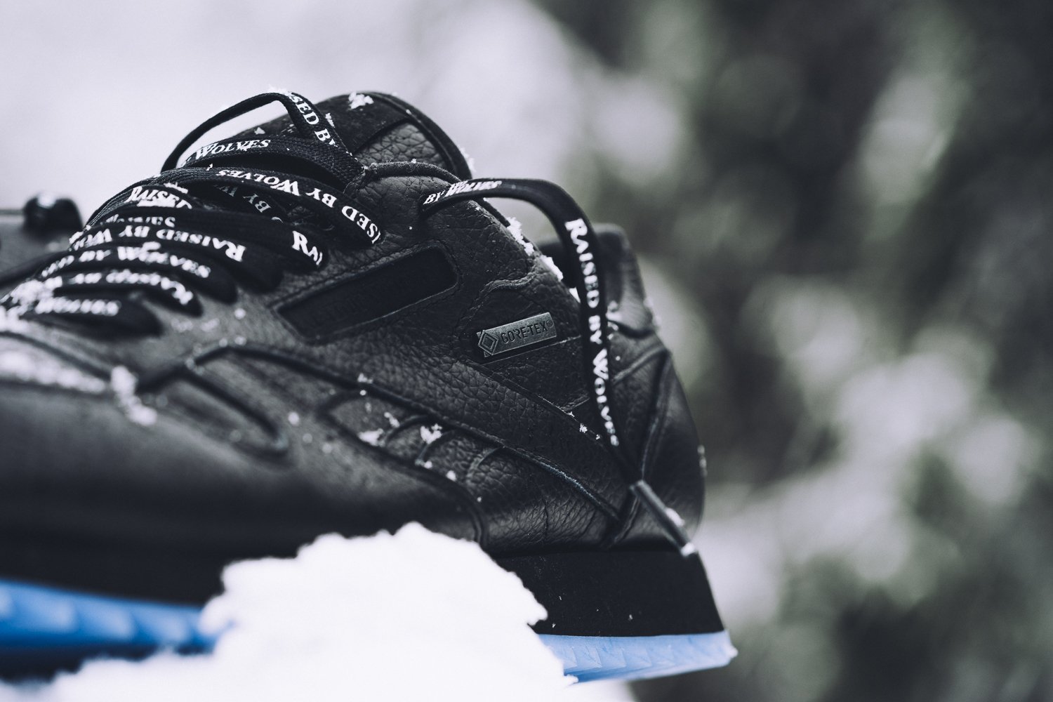 Raised By Wolves x Reebok Classic Leather Gore-Tex Pack-10