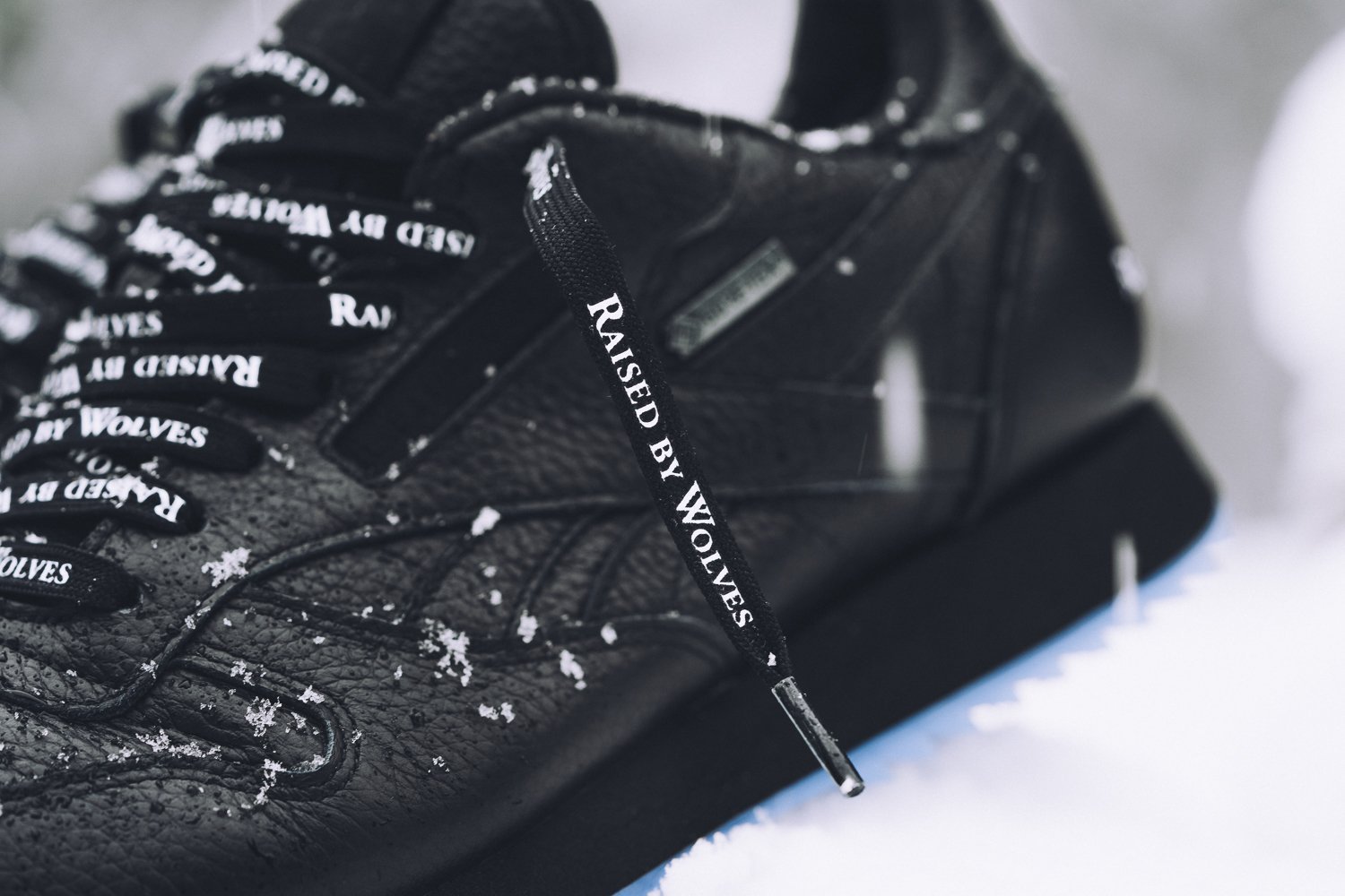 Raised By Wolves x Reebok Classic Leather Gore-Tex Pack-11