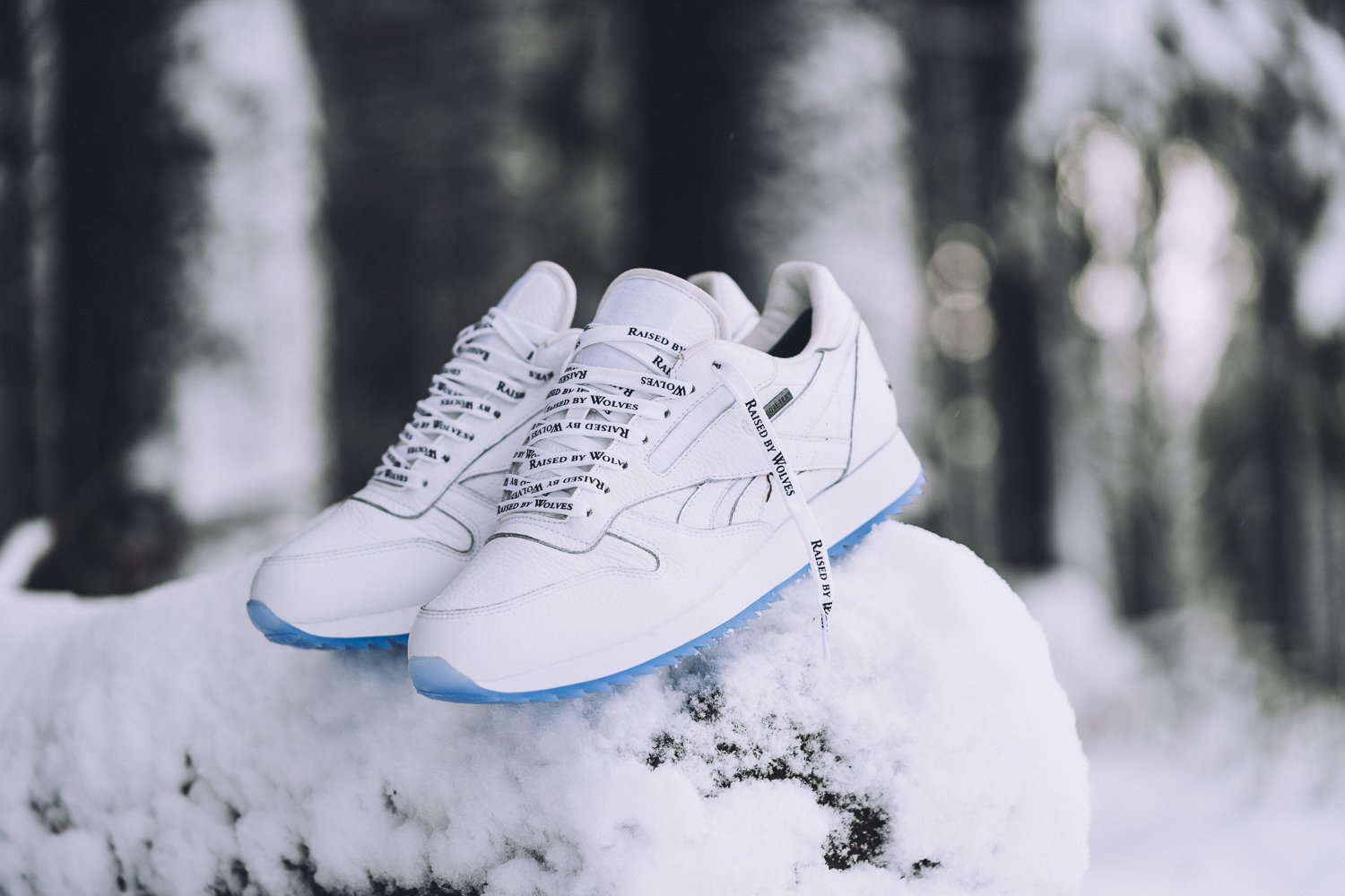 Raised By Wolves x Reebok Classic Leather Gore-Tex Pack-3