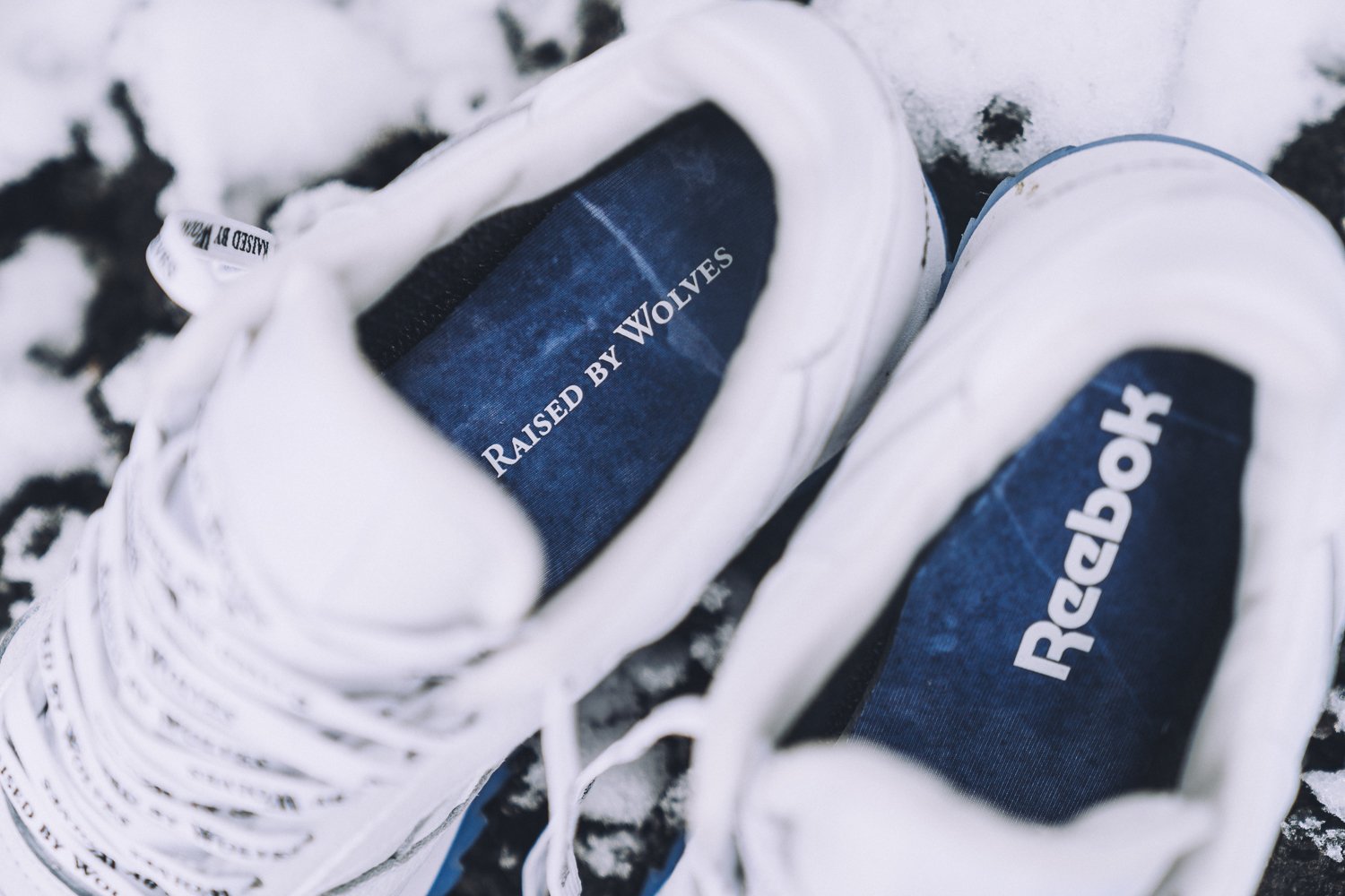 Raised By Wolves x Reebok Classic Leather Gore-Tex Pack-4