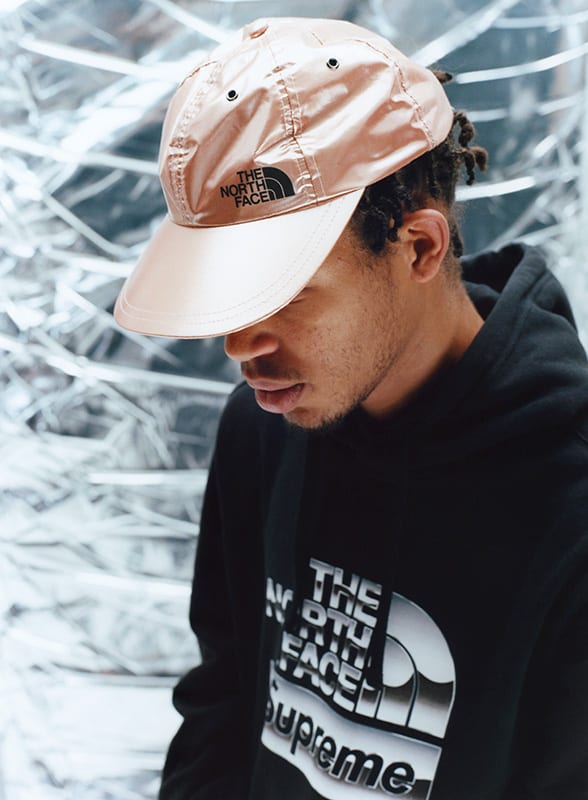 Supreme x The North Face-5