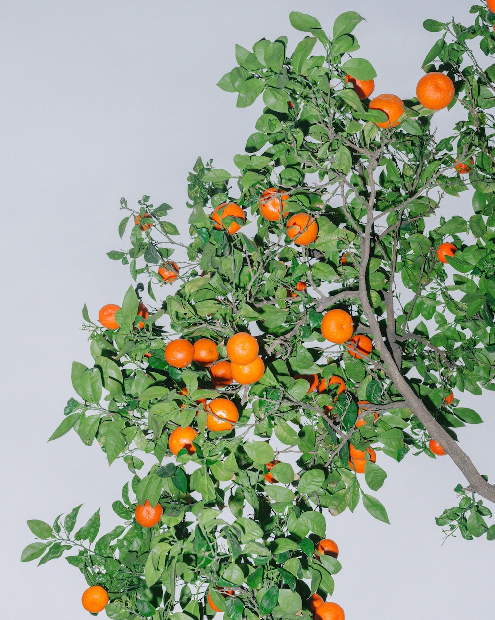 Levis Skateboarding Here And There-18