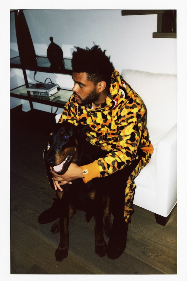 The Weeknd (XO) x BAPE-1