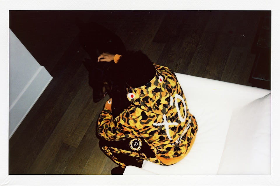 BAPE FINAL
