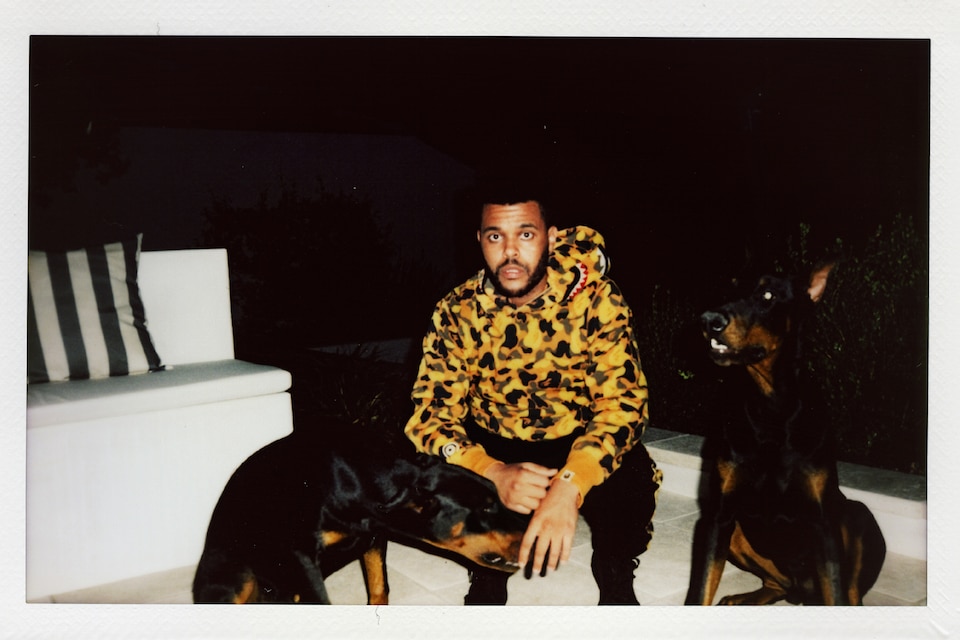 BAPE FINAL