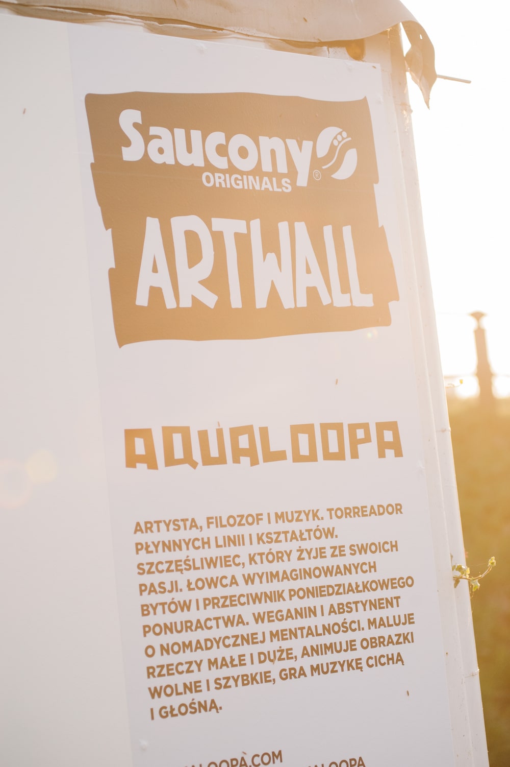 Saucony Art Wall (Aqualoopa)-13