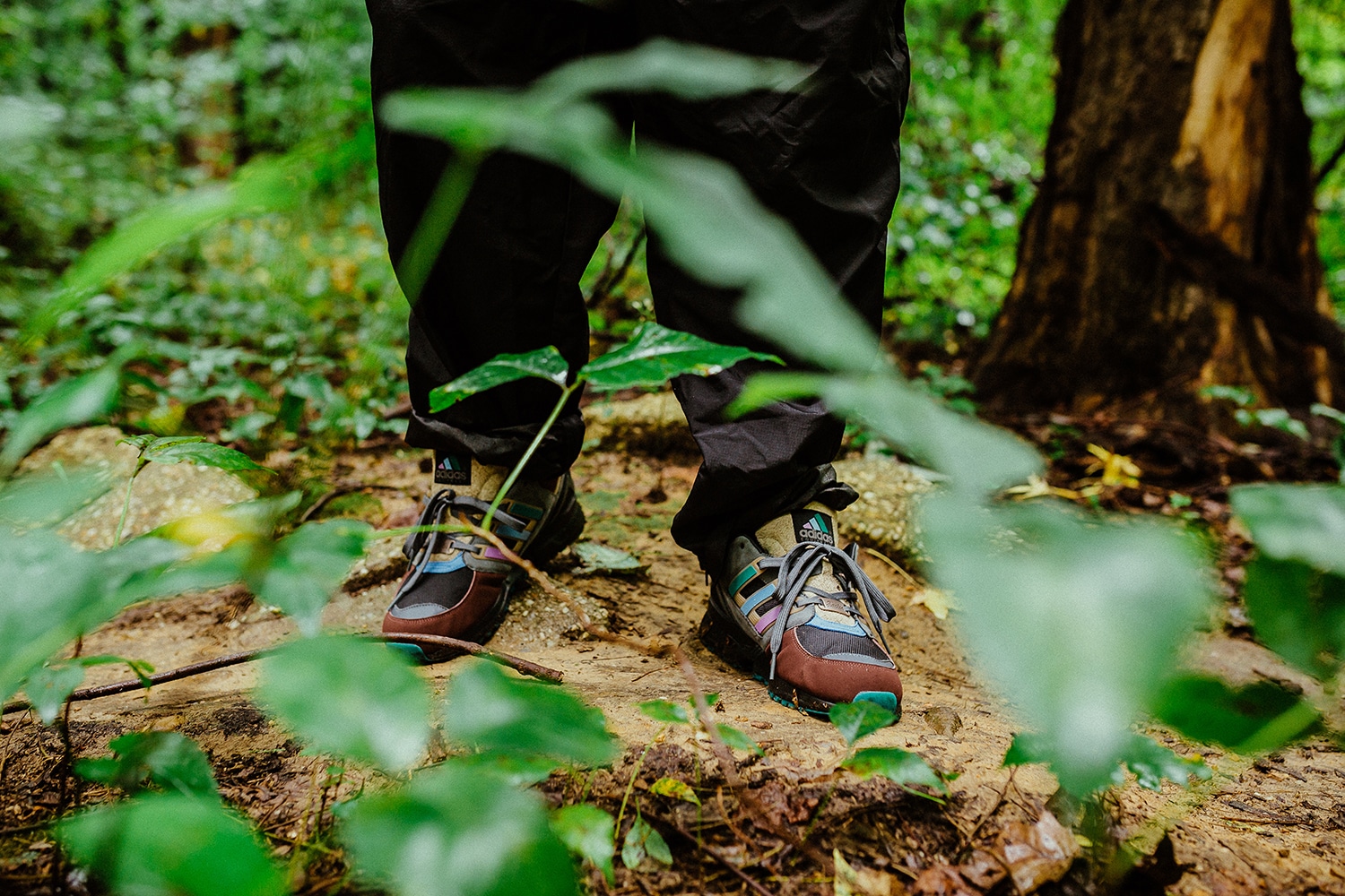 Packer x adidas EQT Cushion 91 6