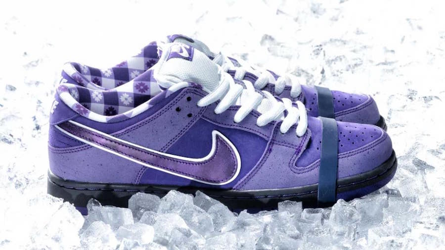 Concepts x Nike SB Dunk Low Purple Lobster BV1310-555 2