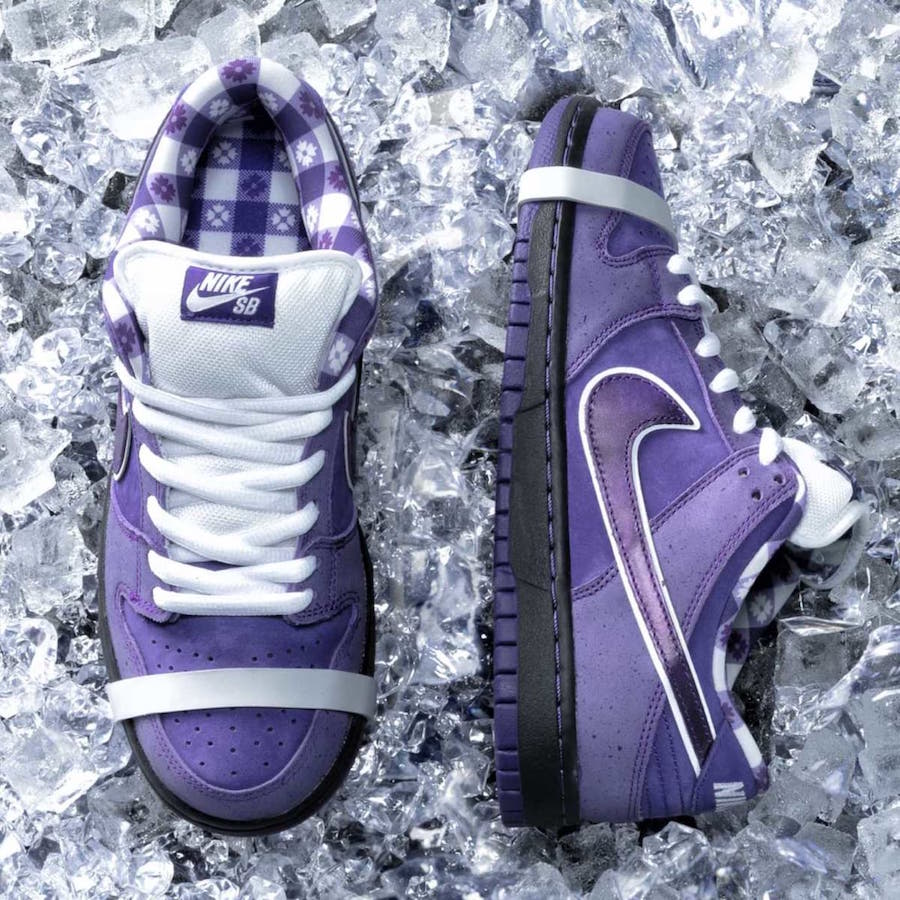 Concepts x Nike SB Dunk Low Purple Lobster BV1310-555 4