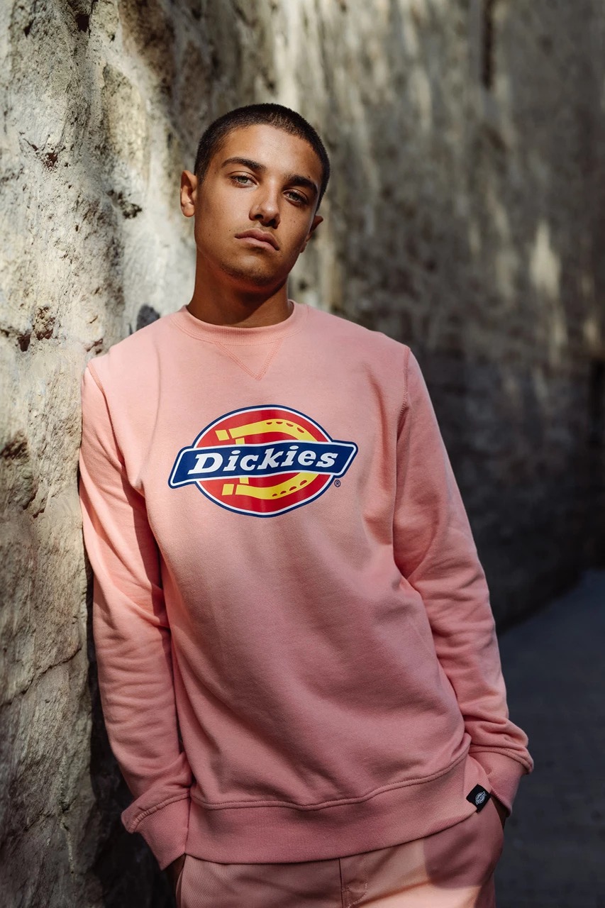Lookbook Dickies Life SS19 1