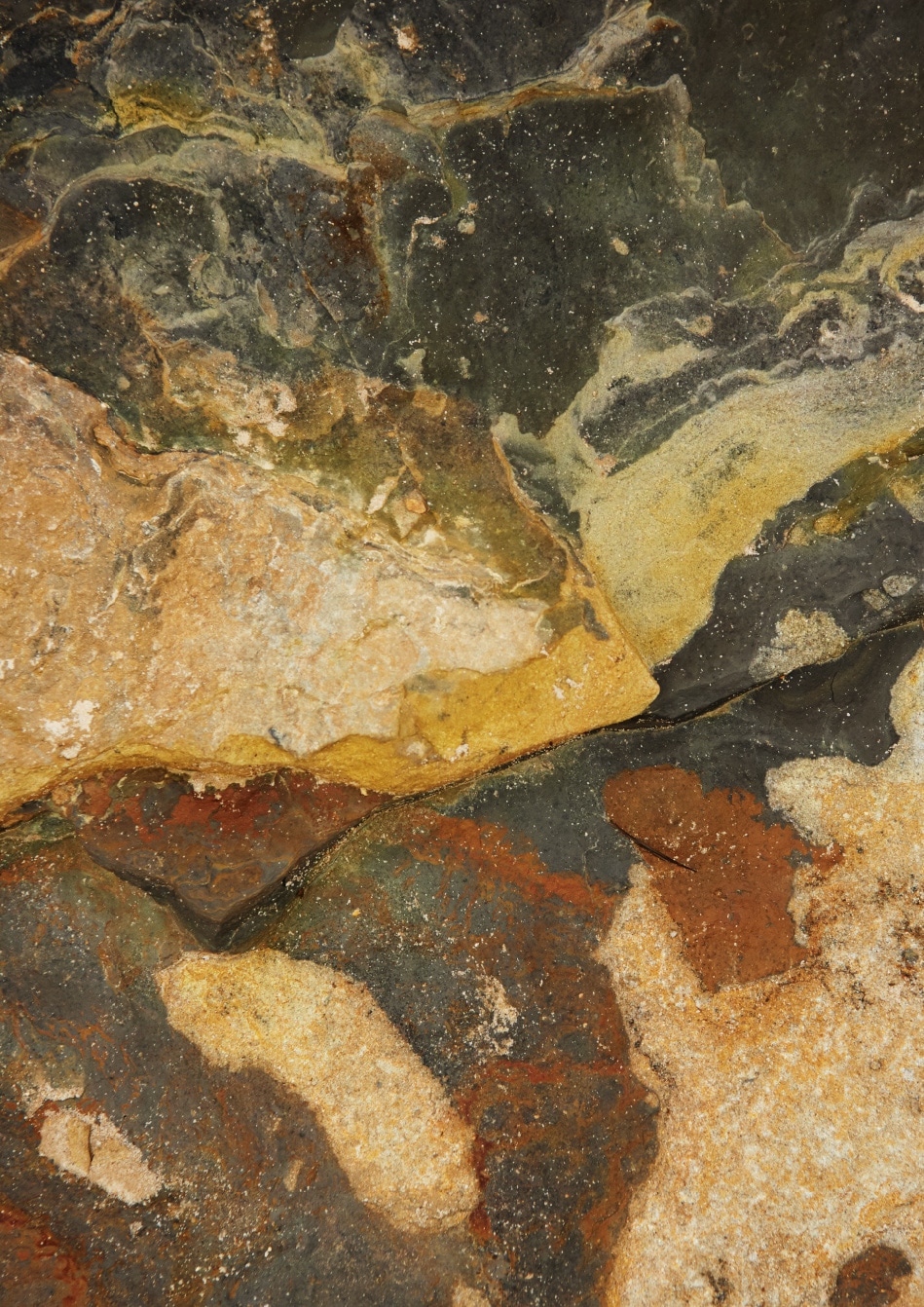 lookbook nanamica ss19 1