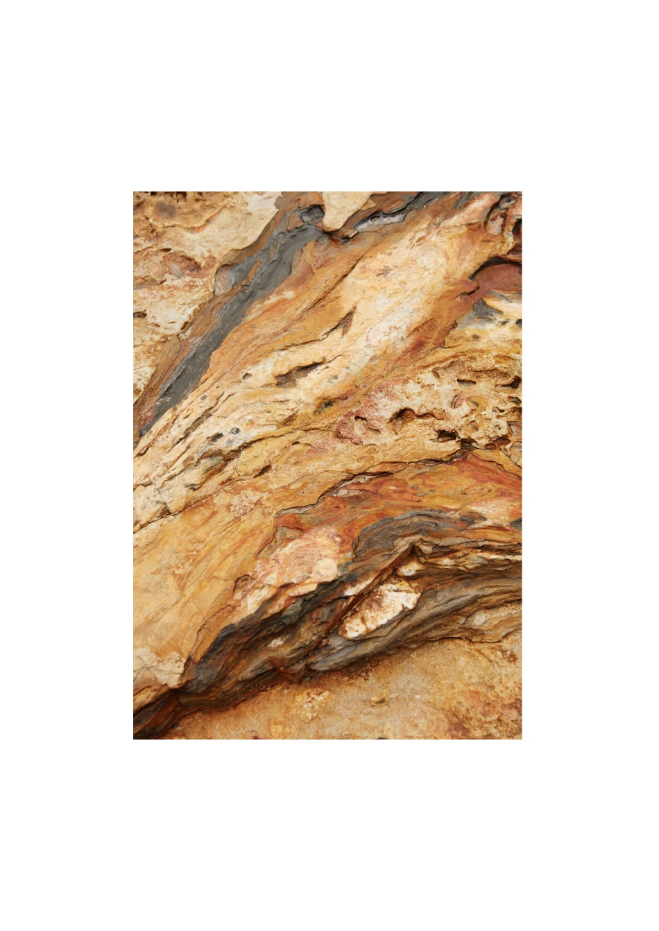 lookbook nanamica ss19 21