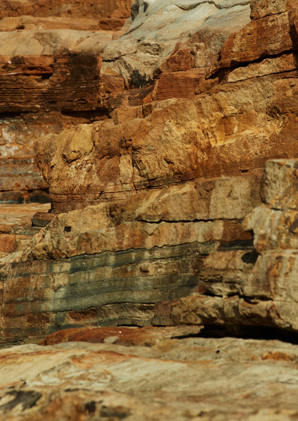 lookbook nanamica ss19 8