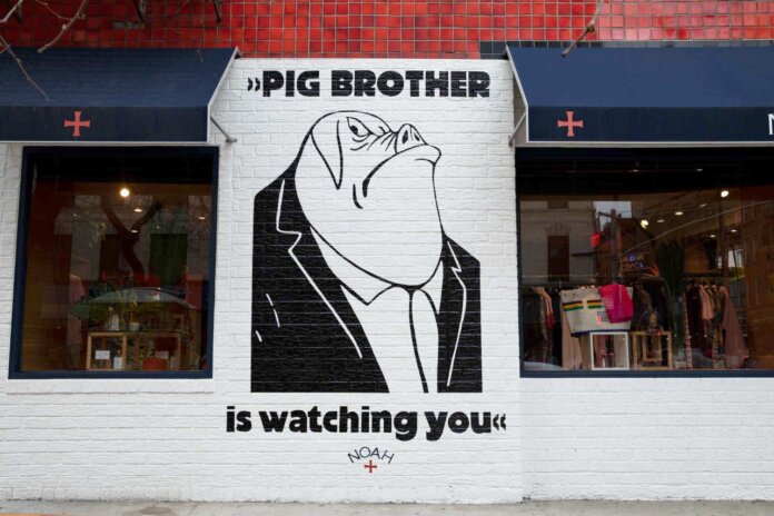 NOAH Pig Brother NOAH Pig Brother