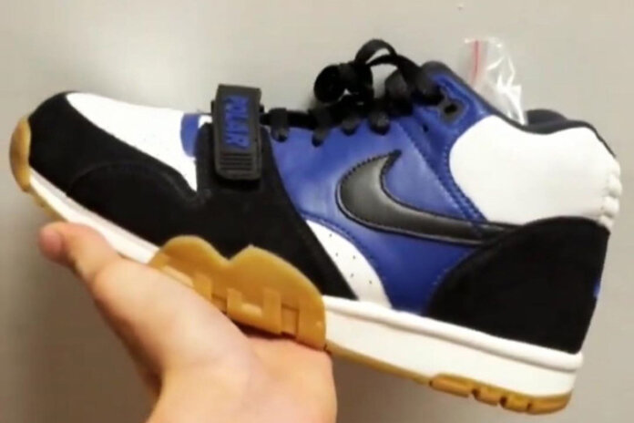 Polar Skate Co x Nike SB Air Trainer 1